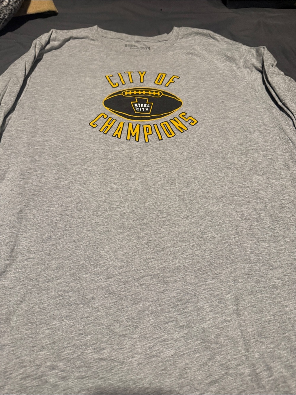 Steel City Pittsburgh Gray Graphic Long Sleeve Tee